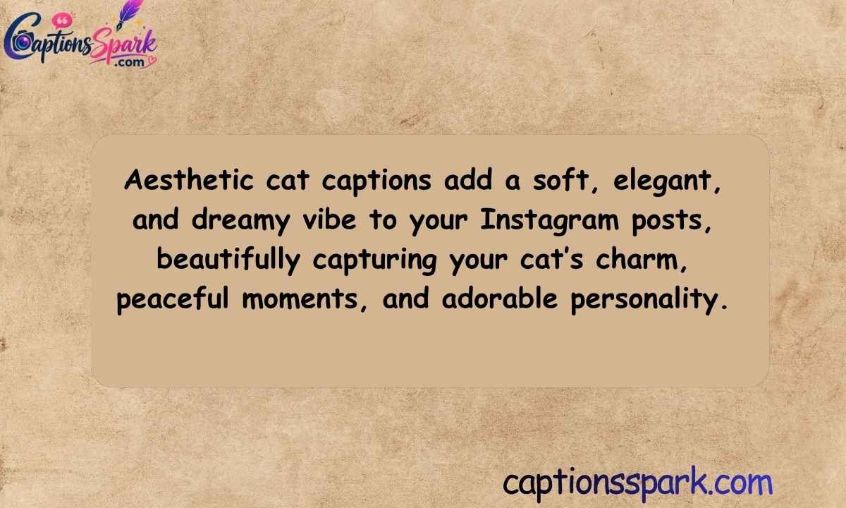 Aesthetic Cat Captions for Instagram