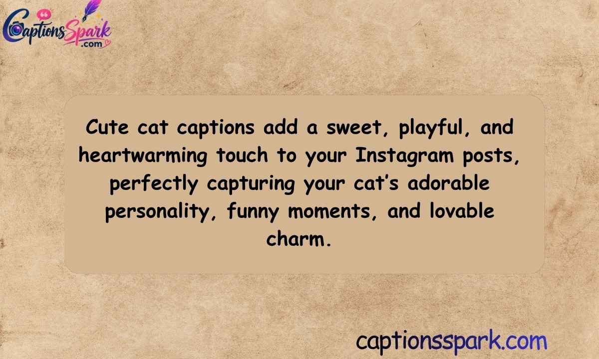 Cute Cat Captions for Instagram