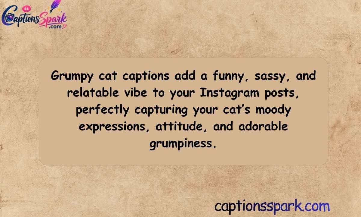 Grumpy Cat Captions for Instagram
