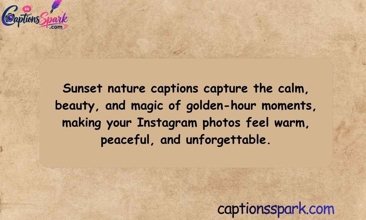 Sunset Nature Captions for Instagram