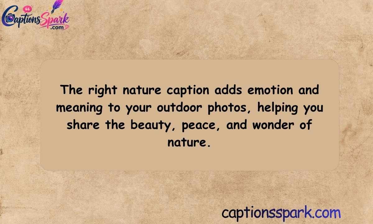 Why the Right Nature Caption Matters
